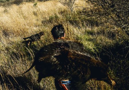 Homem no campo carrega nas costas javali caçado
