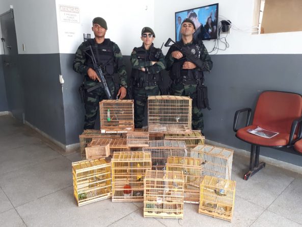 Policiais da Paraíba posam com gaiolas de animais apreendidos