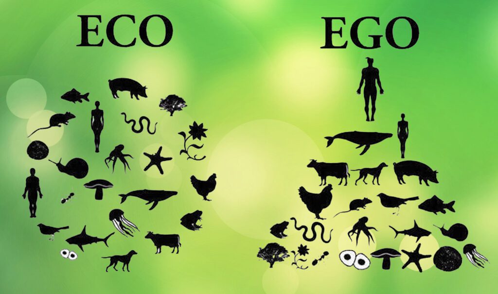 Imagem ilustrativa dividida em duas partes. Na primeira, o homem está integrado aos animais de outras espécies (eco). Na segunda, o homem está no topo de uma pirâmide, com os outros animais abaixo (ego)