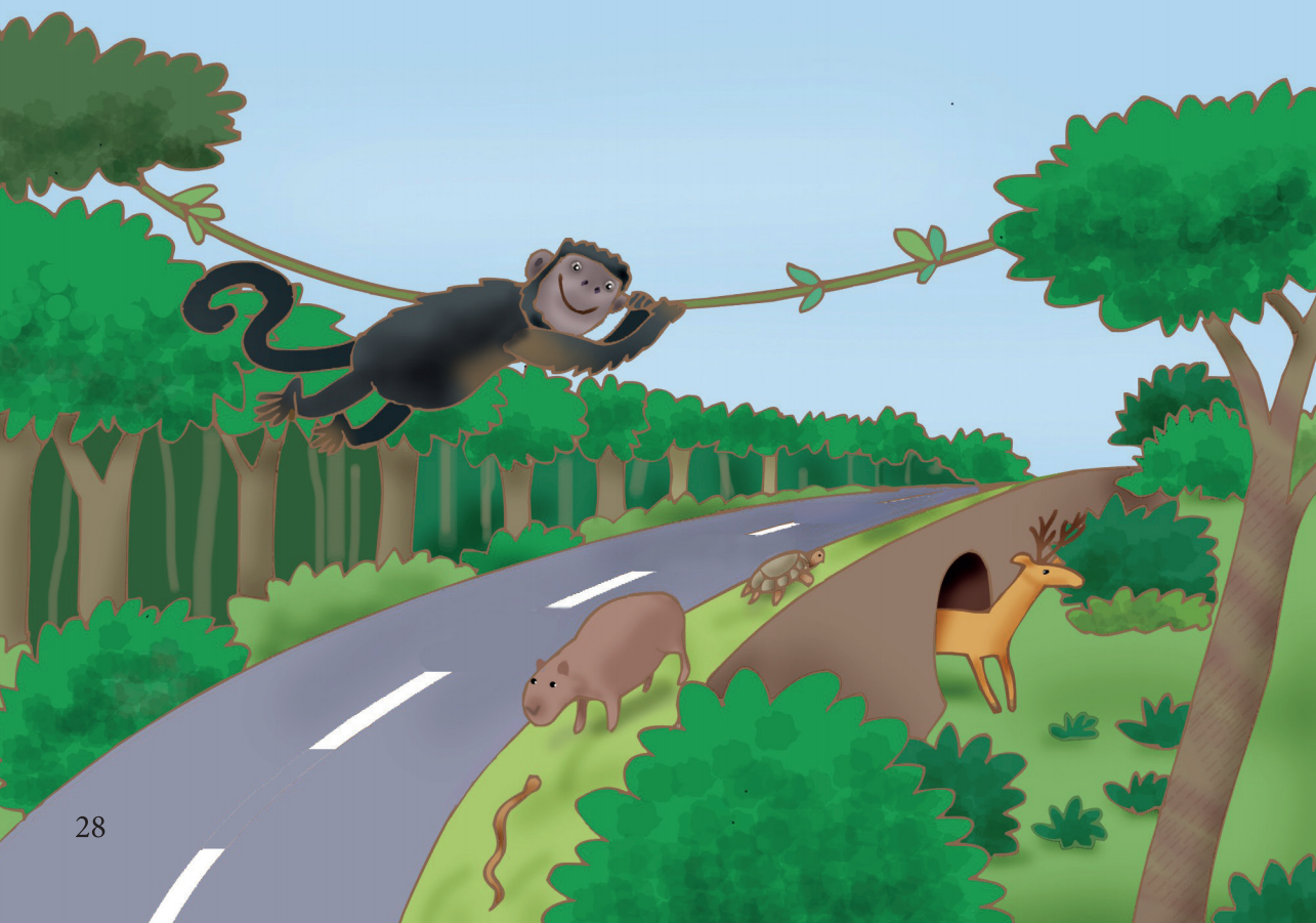 Ilustração de macaco e veado atravessando rodovia por passagens de fauna