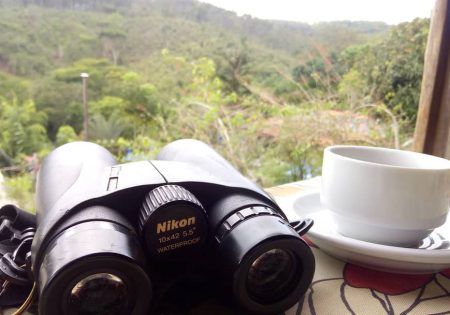 Imagem de chapéu ao lado de binóculos e xícara de café. Ao fundo, uma janela com paisagem de natureza