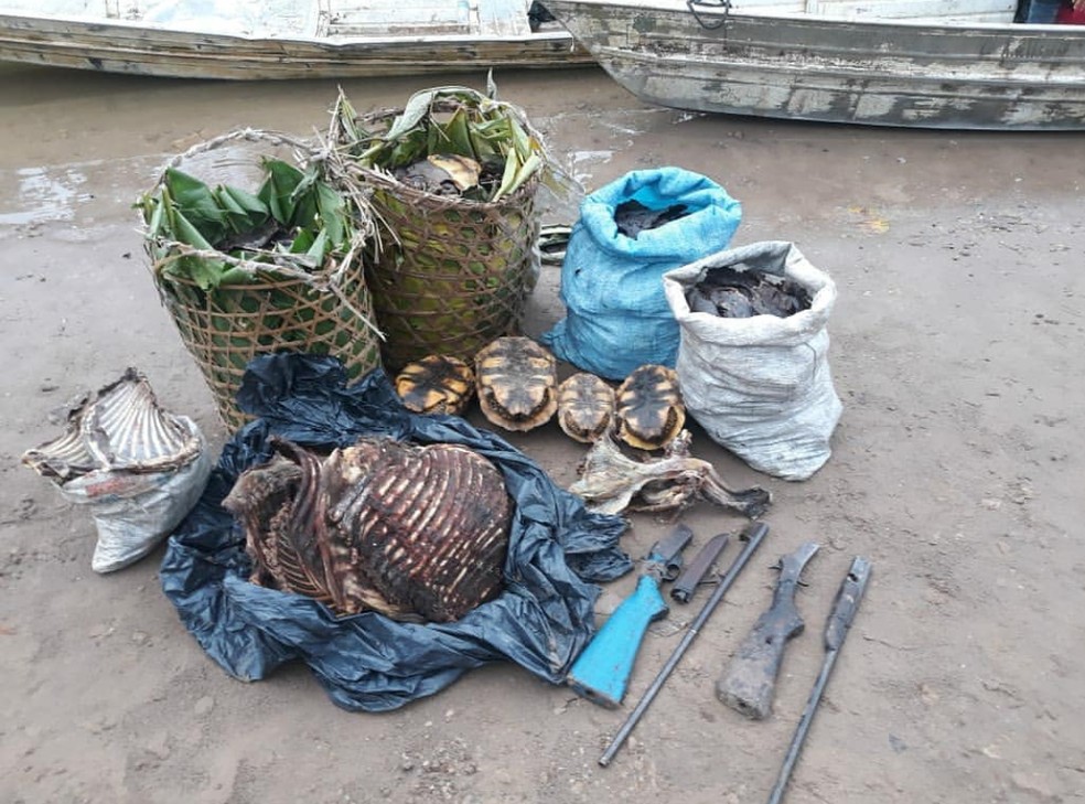 Armas, carnes e jabutis encontrados com caçador no Acre