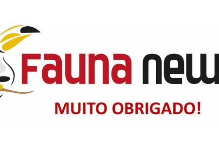 logotipo deo fauna news com a expressão muito obrigado