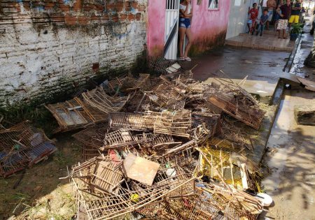 Gaiolas quebradas em uma calçada