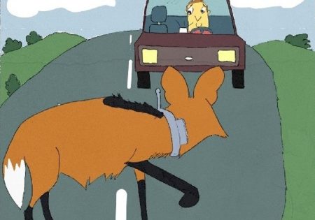 Ilustração de lobo-guará com colar de monitoramento atravessando estrada e carro vindo em sua direção