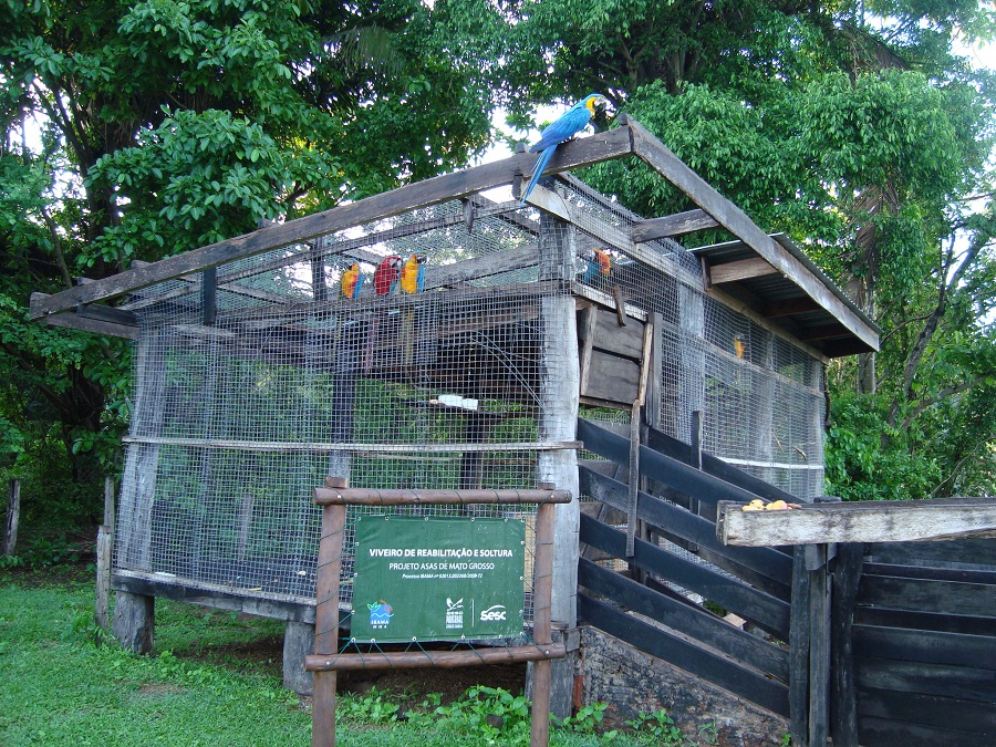 Viveiro de madeira para aclimatação e soltura de aves
