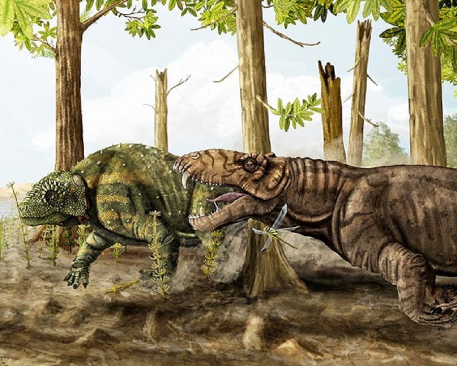 Paleoarte reconstituindo o Pampaphoneus biccai