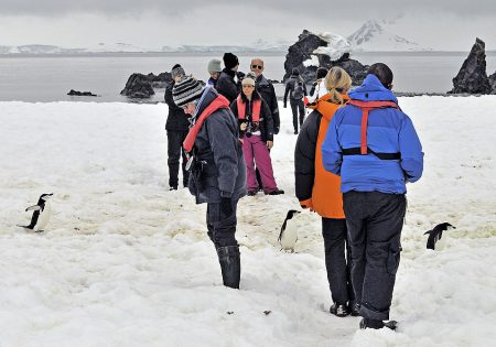 Turistas perto de pinguins