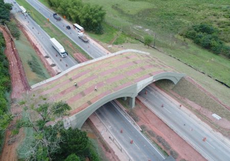 viaduto vegetado sobre a rodovia BR-101, no Rio de Janeiro