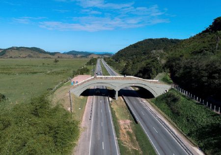 Viaduto vegetado visto do alto