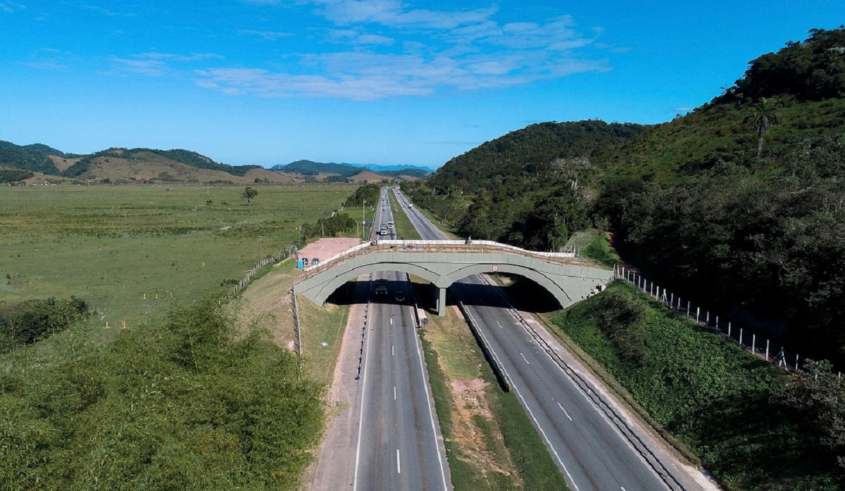 OBRA PRONTA NA BR 280 SEM POSSÍBILIDADE DE UTILIZAÇÃO ATUALMENTE -  GUARAMIRIM / SC 