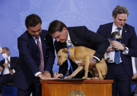 Jair Bolsonaro com cachorro marrom no colo assinando nova lei