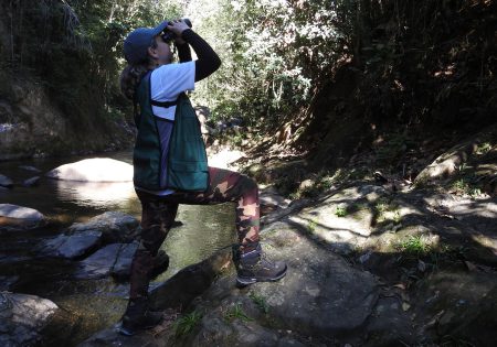 Mulher em riacho com binóculos observando aves em árvores