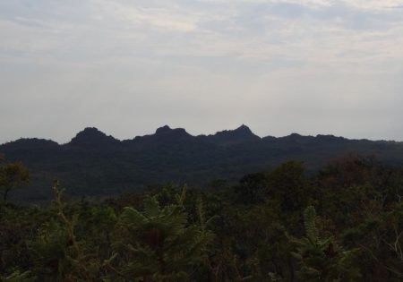 Vista de uma montanha ao fundo com vegetação no primeiro plano