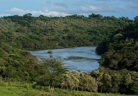 Rio com vegetação conservada em suas margens