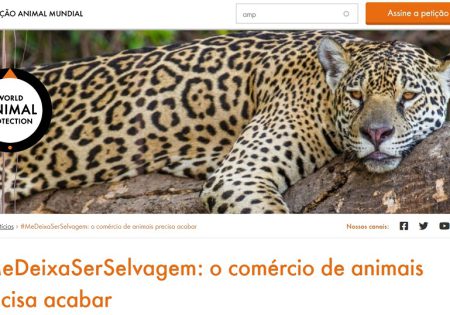 site da Proteção Animal Mundial com imagem de onça