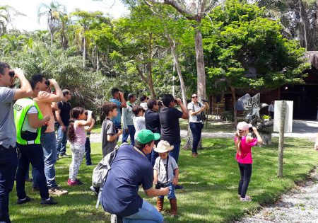 Pessoas com binóculos em gramado