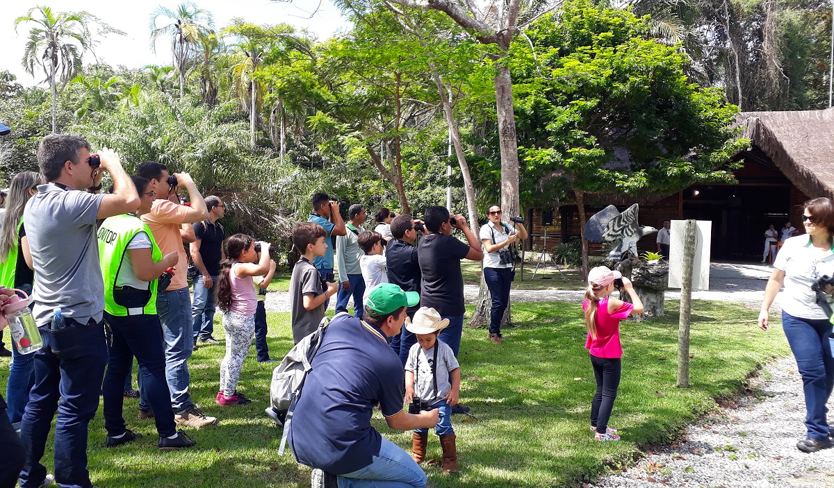 Pessoas com binóculos em gramado