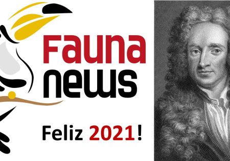 Logotipo do fauna News (que tem um tucano desenhado) e uma imagem de isaac newton