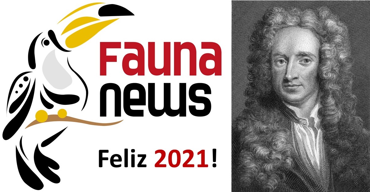 Logotipo do fauna News (que tem um tucano desenhado) e uma imagem de isaac newton