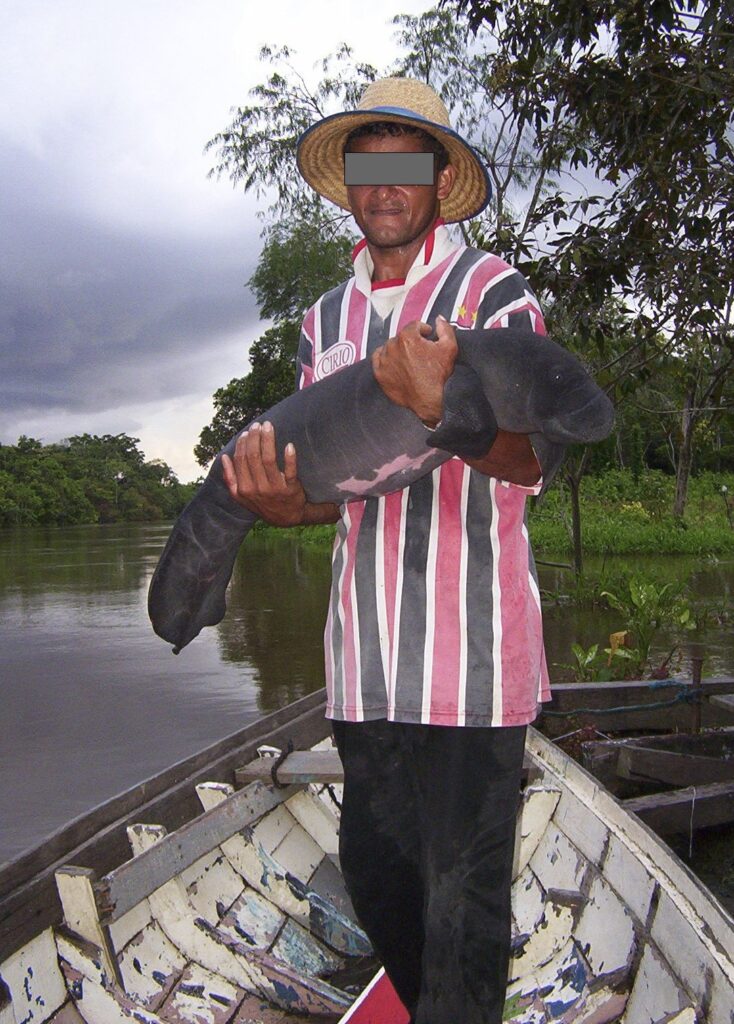 Homem em pé em um barco com filhote de peixe-boi no colo