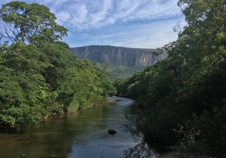 Rio entre árvore com montanha ao fundo