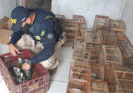 Policial agachado lidando com filhotes de papagaios