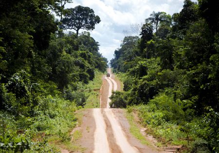 Estrada de terra que corta floresta