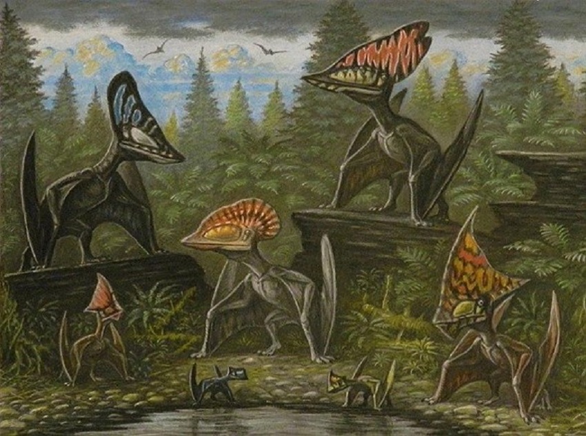 Fauna News