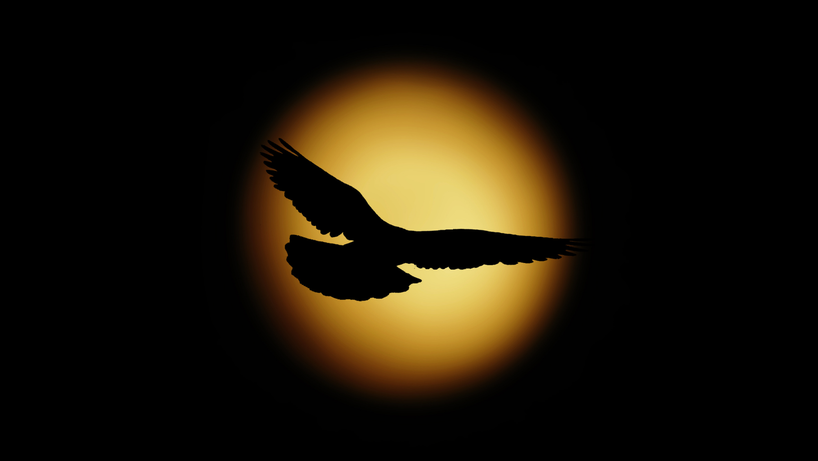 Fauna News