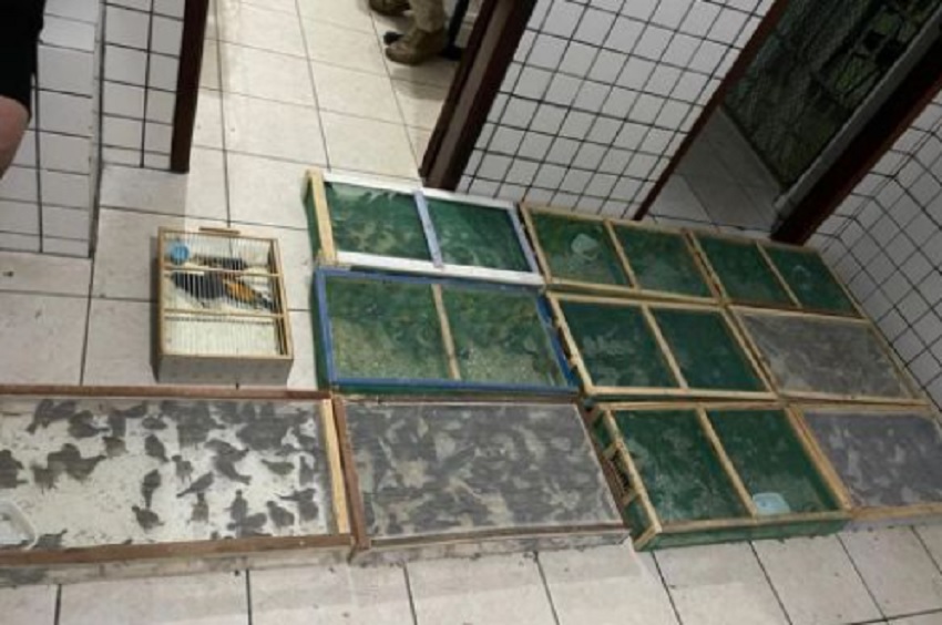 Fauna News