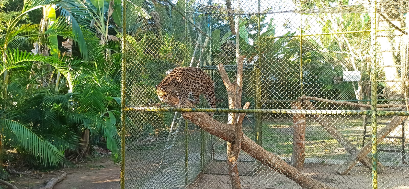 Fauna News