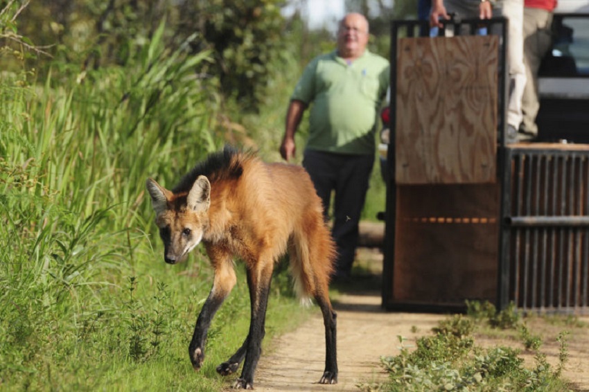 Fauna News