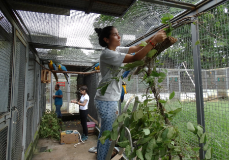 enriquecimento-ambiental-cetas-catalão-e1600262913593-1024x668-1