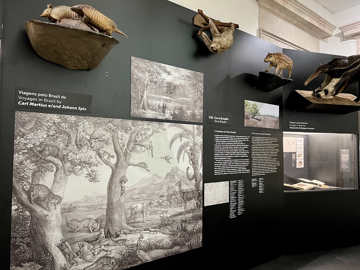 Fauna News