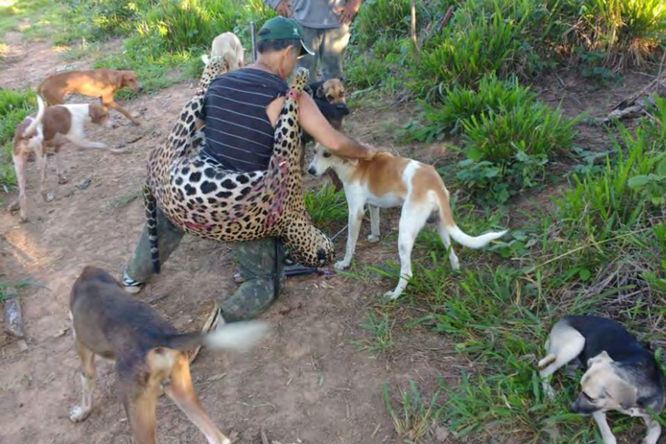 Fauna News