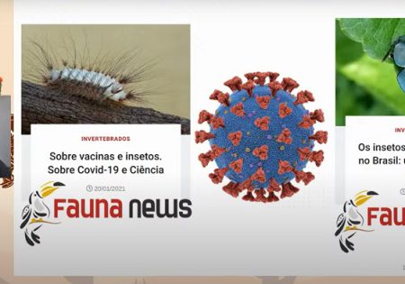 Fauna News