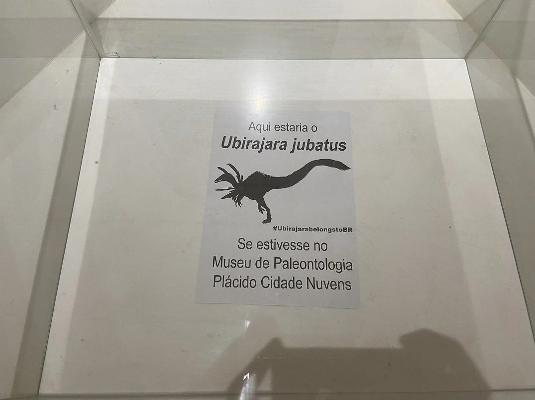 FAUNA NEWS - Repatriação do fóssil do dinossauro Ubirajara