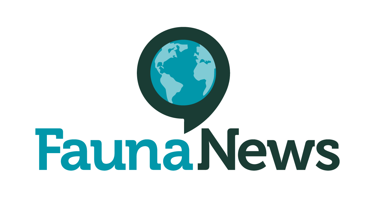 Novo logotipo do Fauna News.