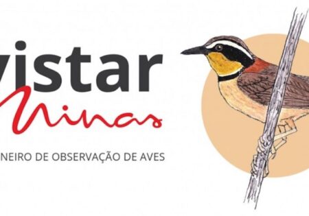 FAUNA NEWS - Avistar Minas discute observação de aves em Minas Gerais.
