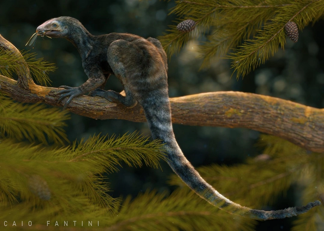 FAUNA NEWS - Venetoraptor, fóssil de nova espécie de ancestral de dinossauros brasileiros.