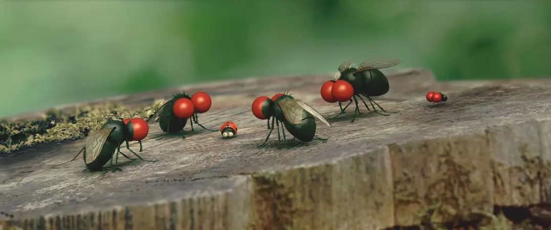 FAUNA NEWS - Animações com insetos para entreter e ensinar.