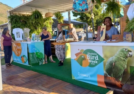 FAUNA NEWS - Bird Week, evento sobre observação de aves em Ilhabela (SP).