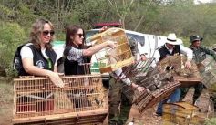 Fauna News