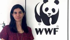 Fauna News