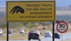 Fauna News