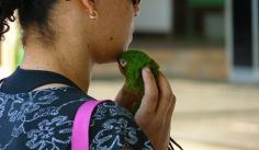 Fauna News