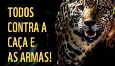 Fauna News