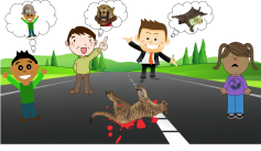 Fauna News
