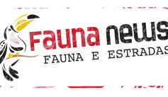 Fauna News